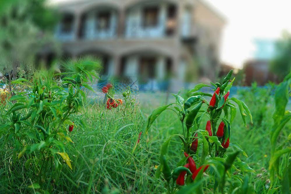 Cunda Deniz Hotel Ayvalik Luaran gambar